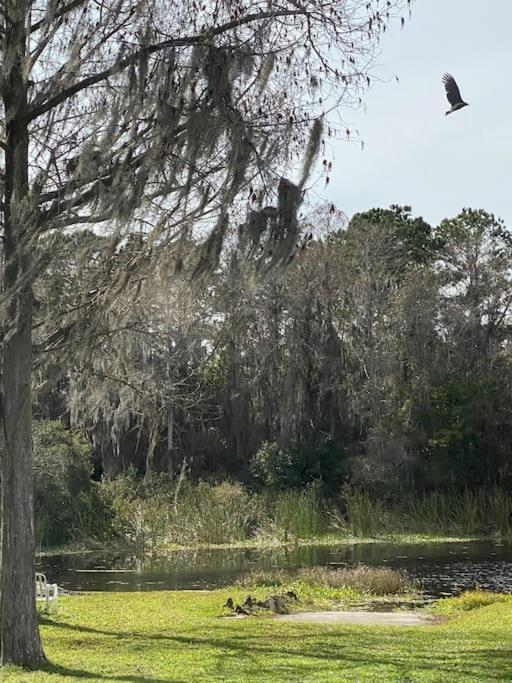 Apartmán Professor Rousseau'S Manatee Bay Crystal River Exteriér fotografie